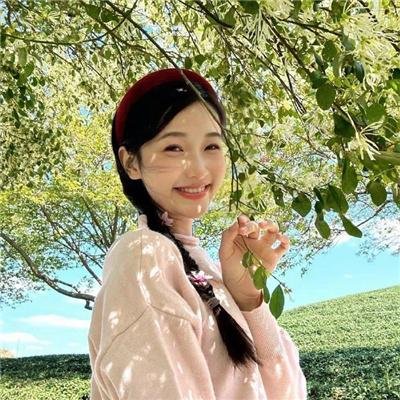 鲨海